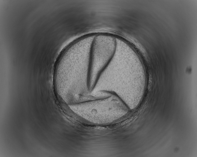 X0000099951316200806201304