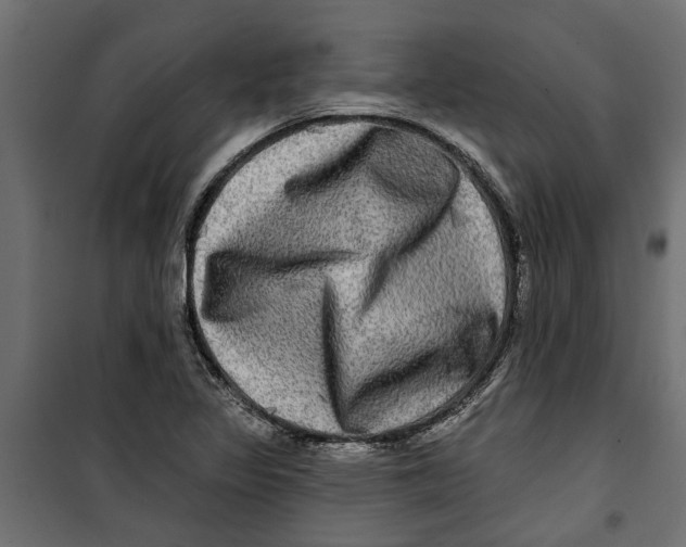 X0000099951317200806201304