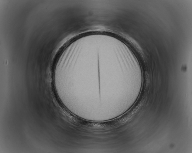 X0000099951318200806201304