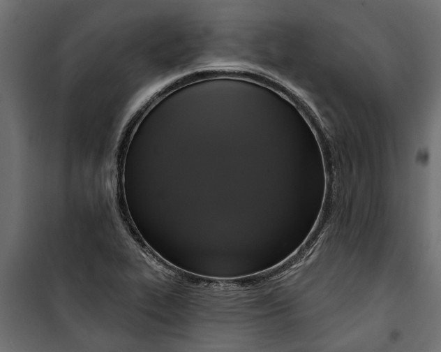 X0000099951319200806201304