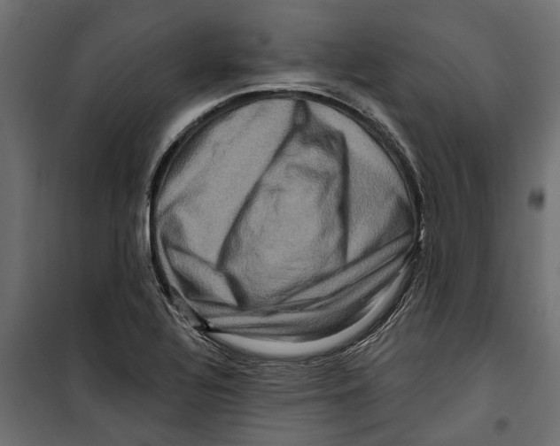 X0000099951320200806201304