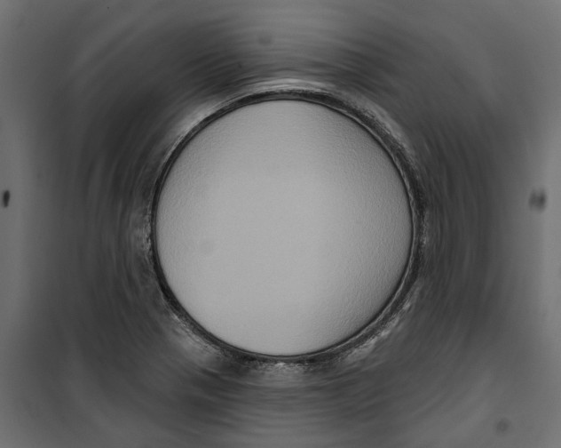 X0000099951321200806201304