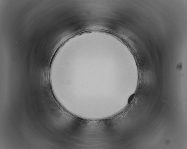 X0000099951322200806201304