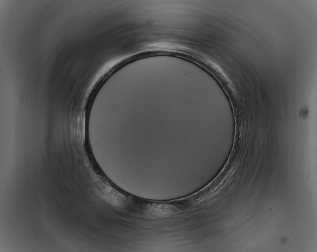 X0000099951323200806201304