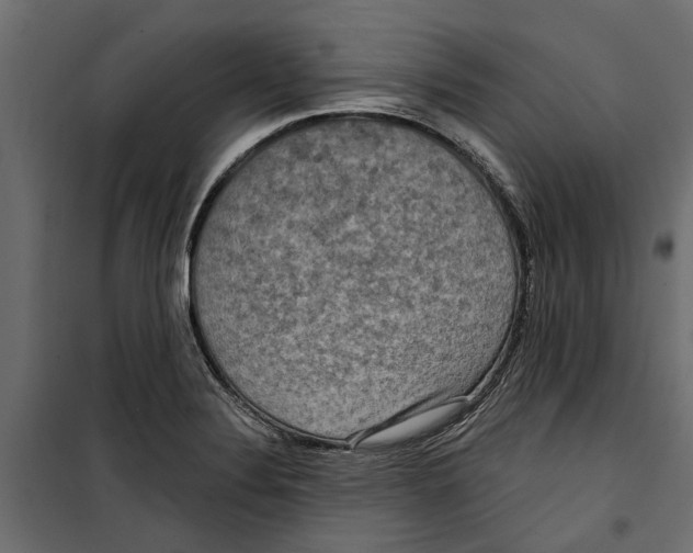 X0000099951324200806201304