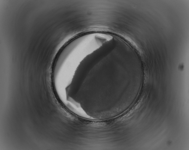 X0000099951325200806201304