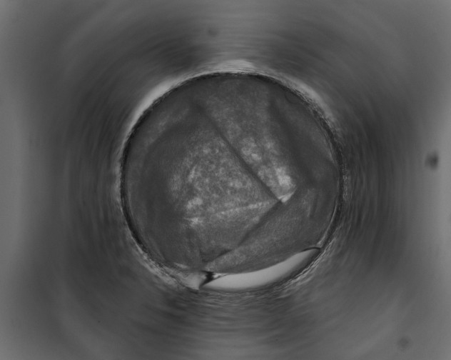 X0000099951326200806201304