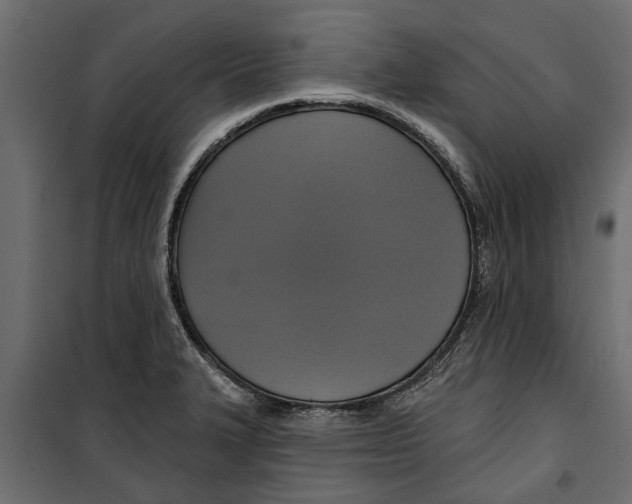 X0000099951327200806201304