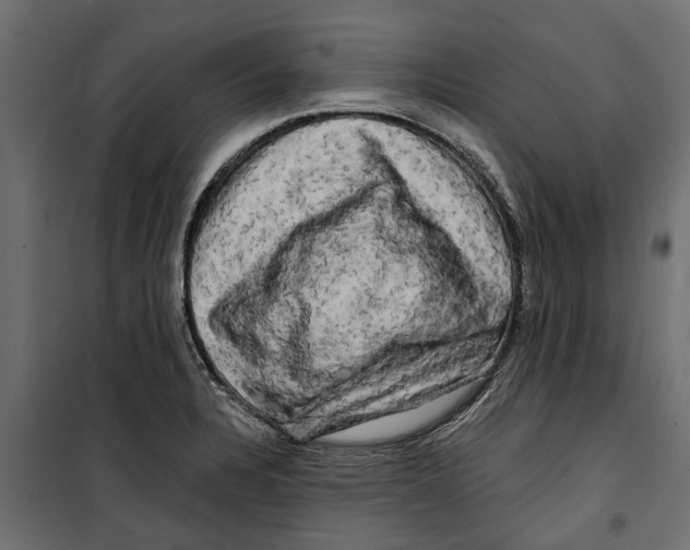 X0000099951328200806201304