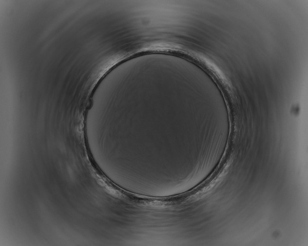 X0000099951329200806201304