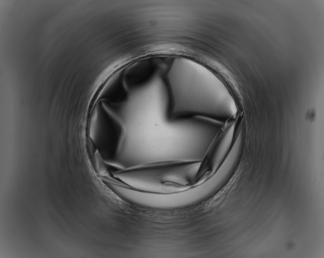 X0000099951330200806201304