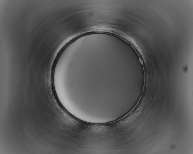X0000099951331200806201304
