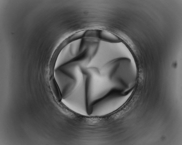 X0000099951332200806201304