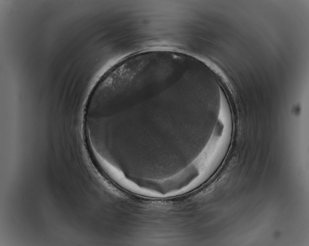 X0000099951333200806201304