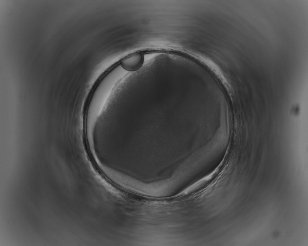 X0000099951335200806201304