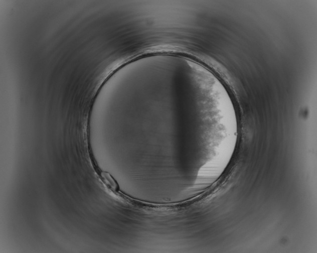 X0000099951337200806201304
