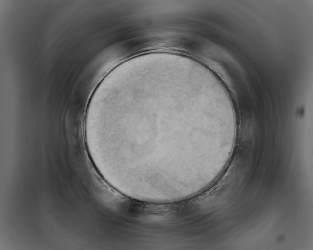 X0000099951338200806201304