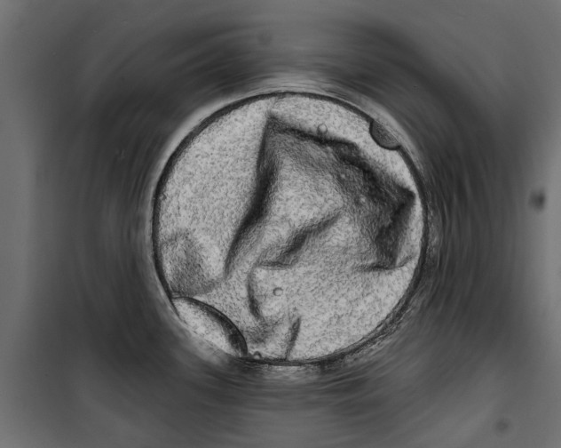 X0000099951339200806201304