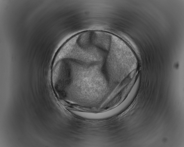 X0000099951340200806201304