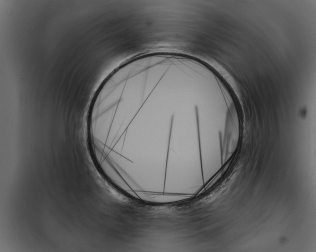 X0000099951341200806201304