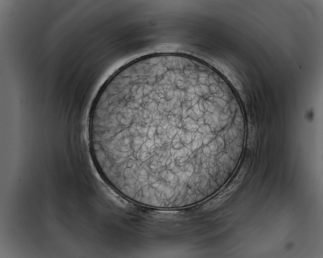 X0000099951342200806201304