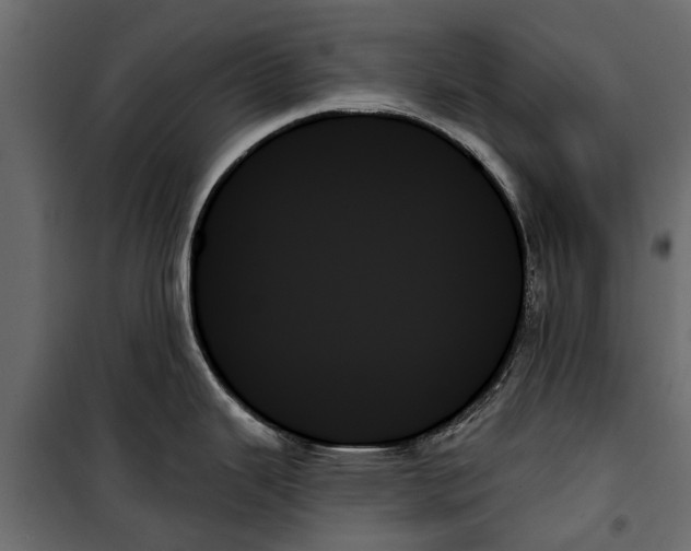 X0000099951343200806201304