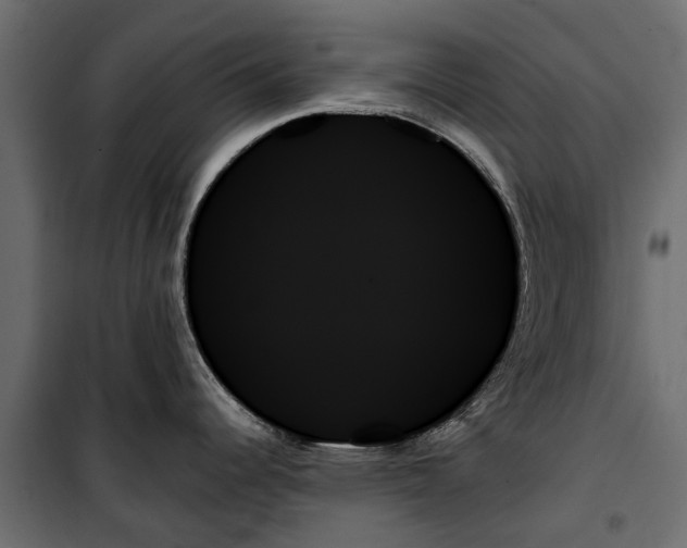 X0000099951344200806201304