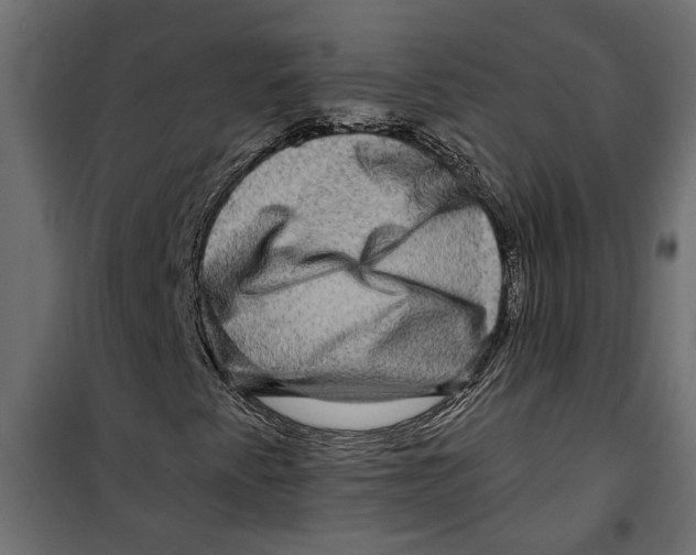 X0000099951345200806201303