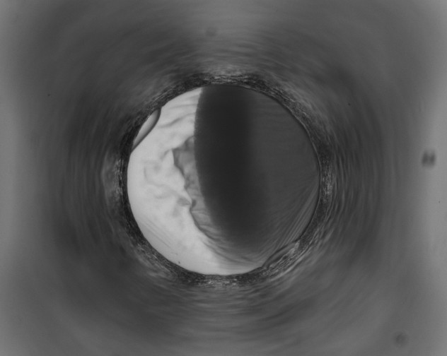 X0000099951346200806201303