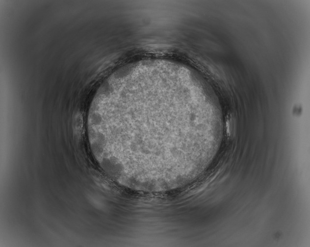 X0000099951347200806201303
