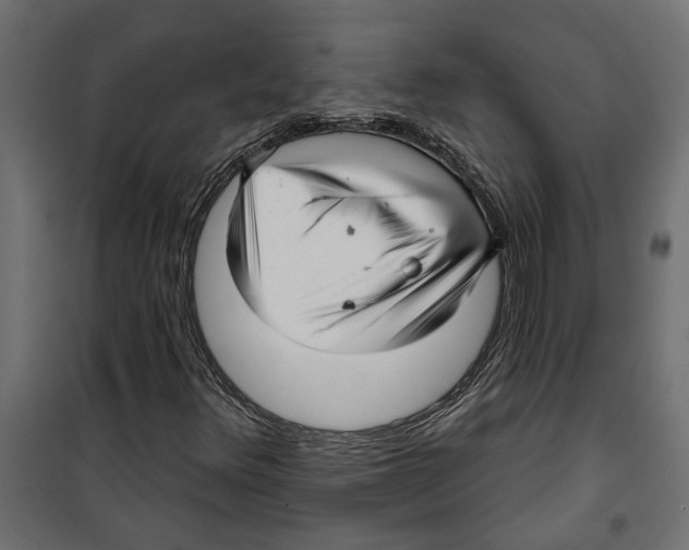 X0000099951348200806201303