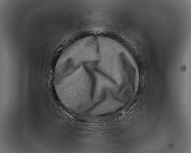 X0000099951349200806201303