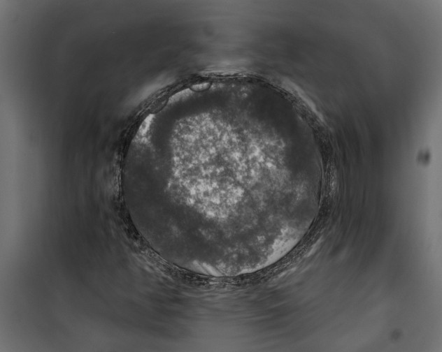X0000099951350200806201303