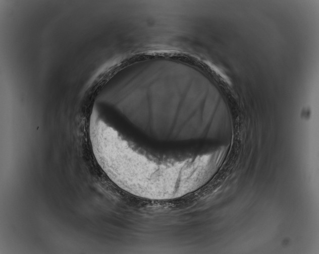 X0000099951351200806201303