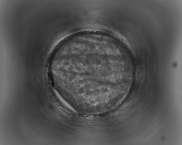 X0000099951352200806201303