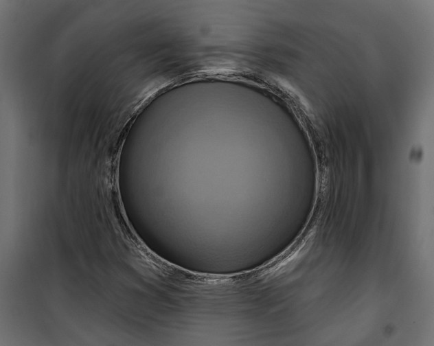 X0000099951353200806201303