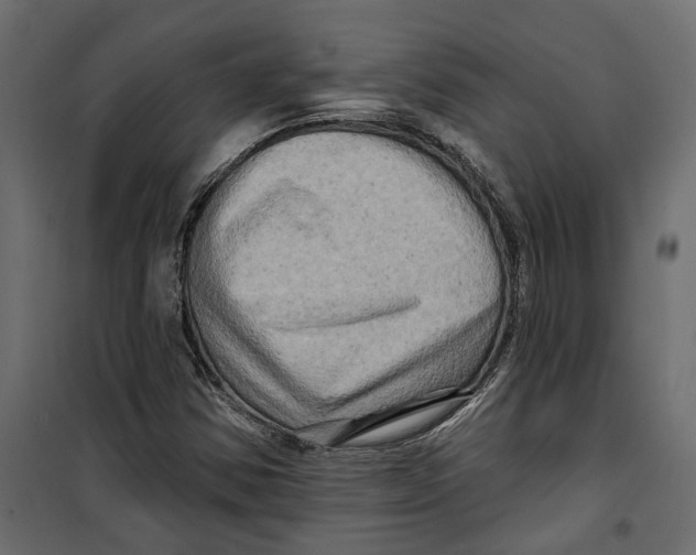 X0000099951354200806201303