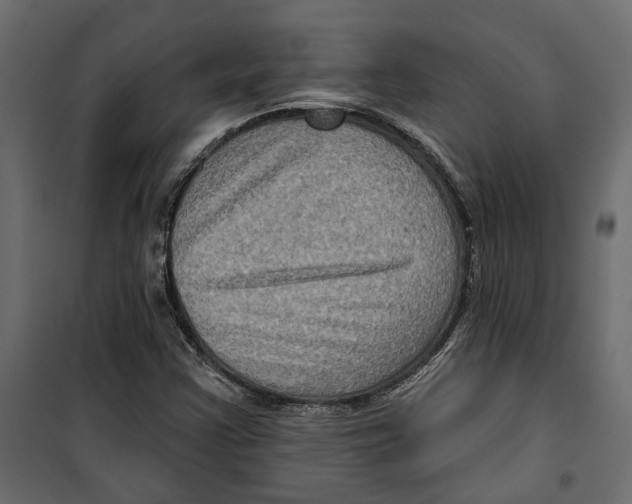 X0000099951355200806201303