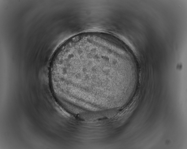 X0000099951356200806201303
