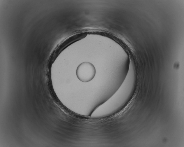 X0000099951357200806201303