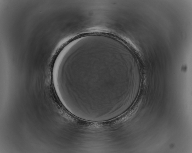 X0000099951358200806201303