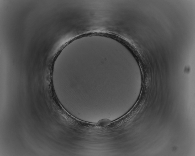 X0000099951359200806201303