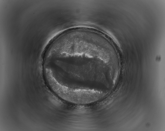 X0000099951360200806201303