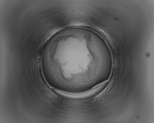 X0000099951361200806201303