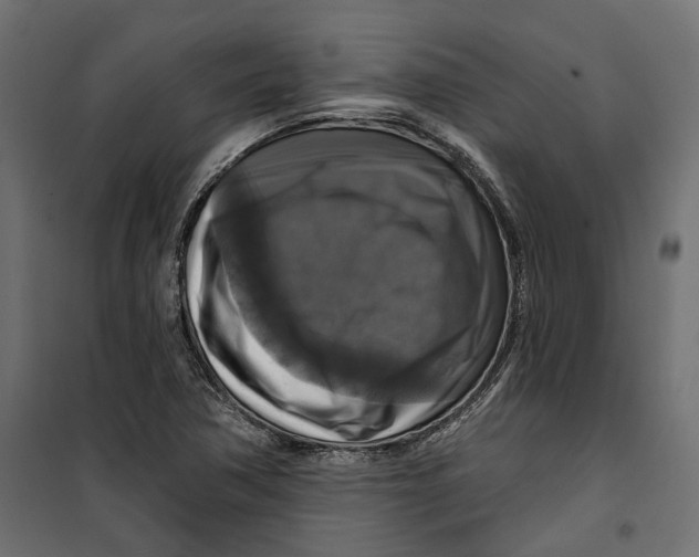 X0000099951362200806201303