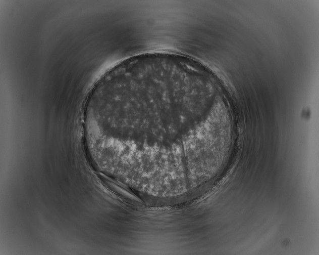 X0000099951363200806201303