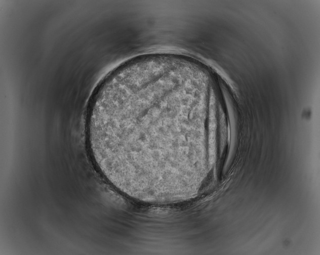 X0000099951364200806201303