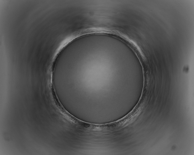 X0000099951365200806201303