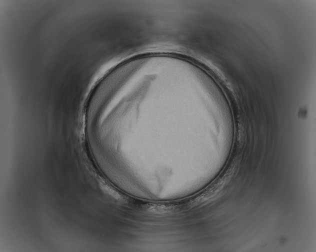 X0000099951366200806201303