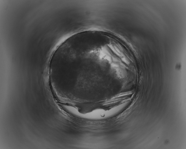 X0000099951367200806201303